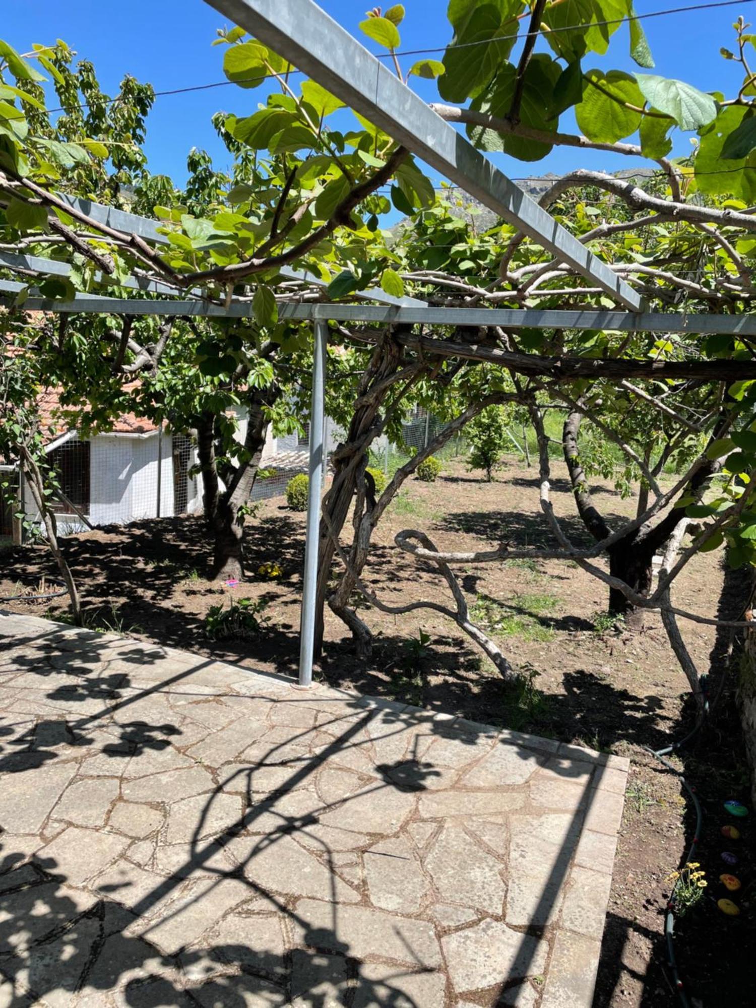 Lila'S Guest House Μικρός Πρίνος Εξωτερικό φωτογραφία